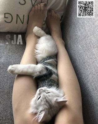 精瓶梅电影_蓝光版中文字幕包